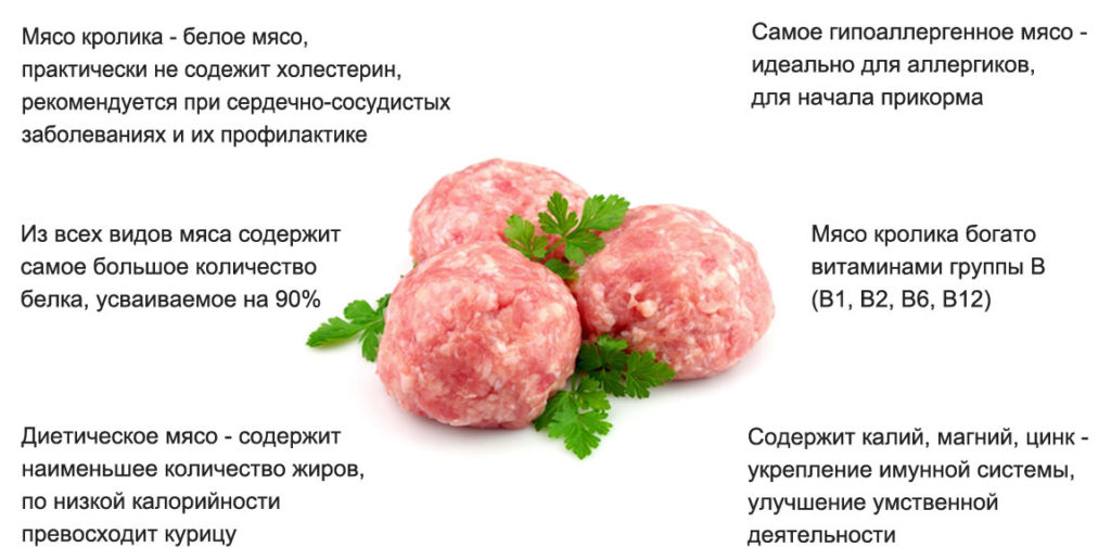 Польза крольчатины для детей