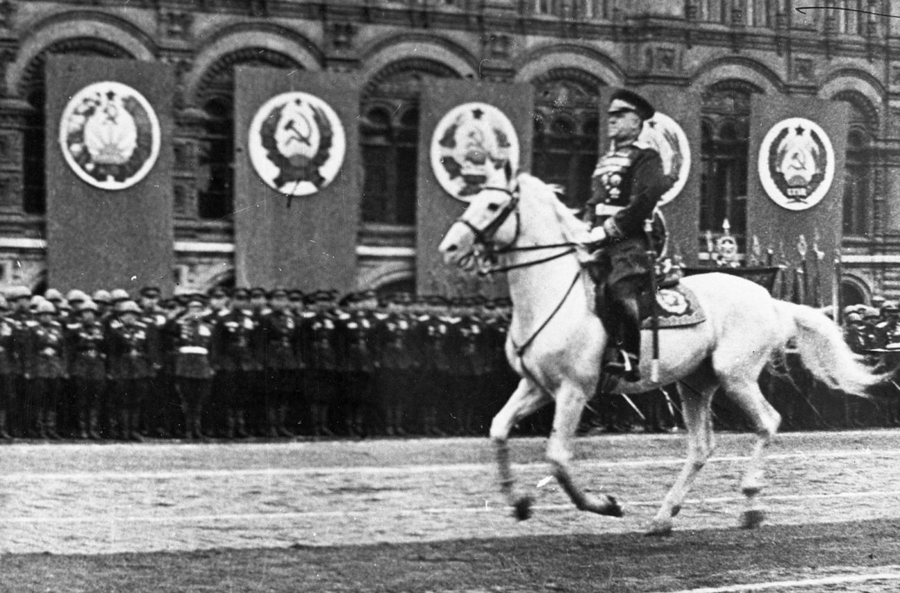 серые лошади